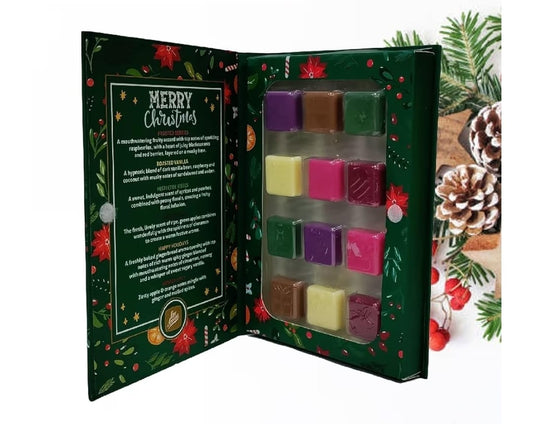 Christmas Aroma 12 Days Of Christmas Wax Melt Calendar