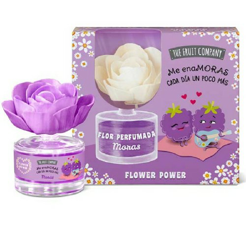 The Fruit Company blackberry Flower Diffuser.