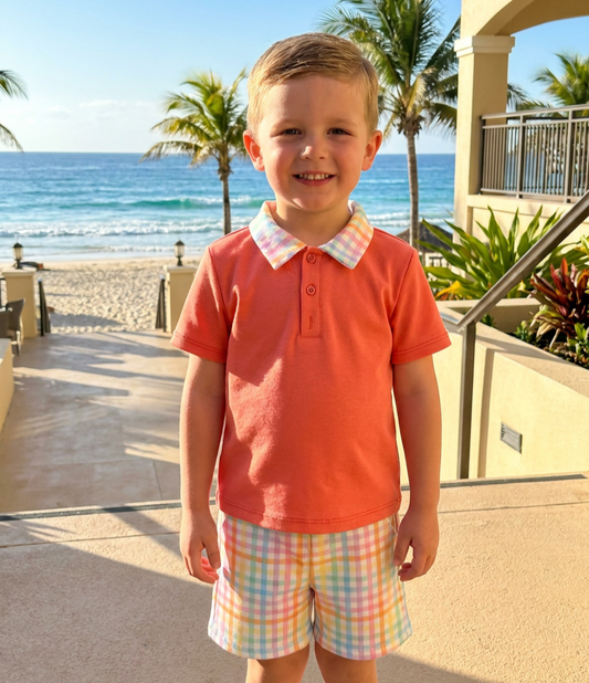 Boys Summer Coloured Checked Shorts & T-Shirt Set