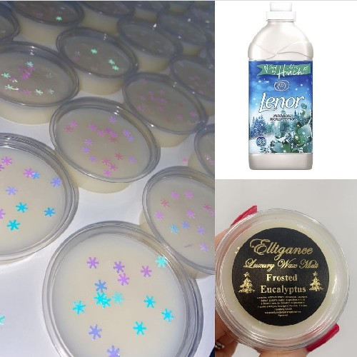 Frosted EUCALYPTUS Wax Melt