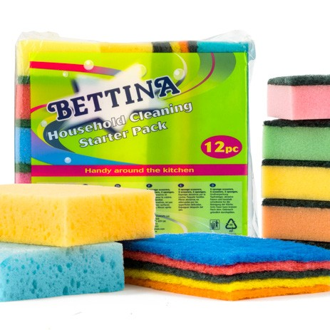 Bettina 12pc Household Cleaning Starter Pack