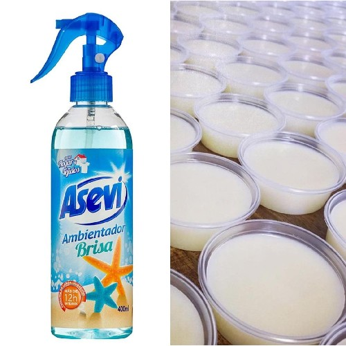 Brisa Wax Melt
